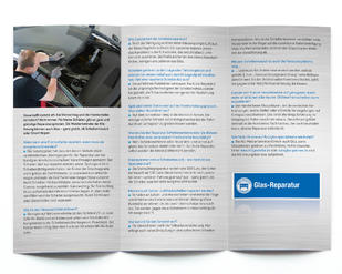 Miniaturansicht 3: Flyer „Sie können durchblicken.“