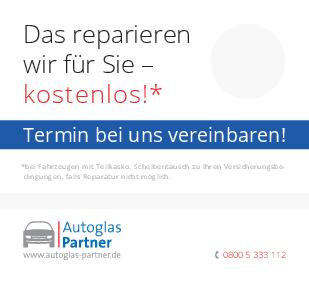 Autoglas-Partner: Adhäsions-Aufkleber „Schadensmarkierer" (50 Stück)